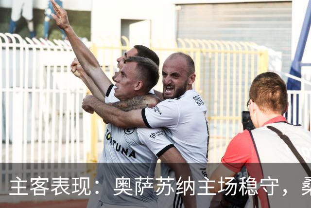 主客表现：奥萨苏纳主场稳守，桑坦德竞技客场连遭重创