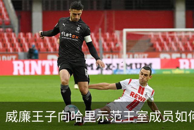 威廉王子向哈里示范王室成员如何真正接受电视采访，差距一目了然