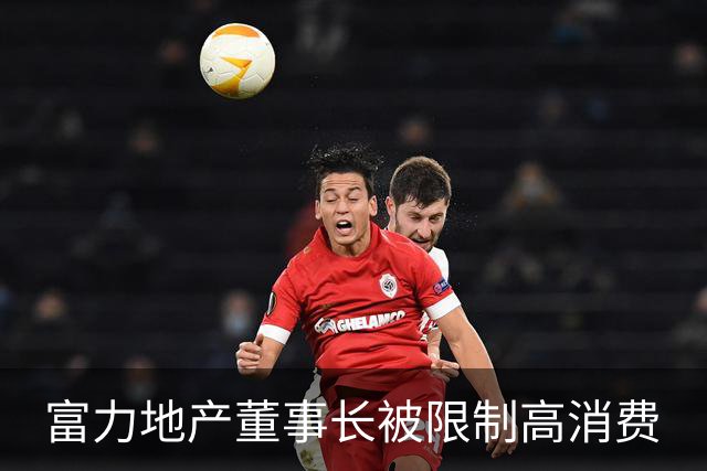 富力地产董事长被限制高消费