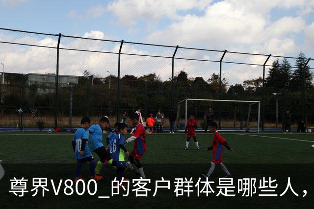 尊界V800 的客户群体是哪些人，到目前为止 卖了多少台？