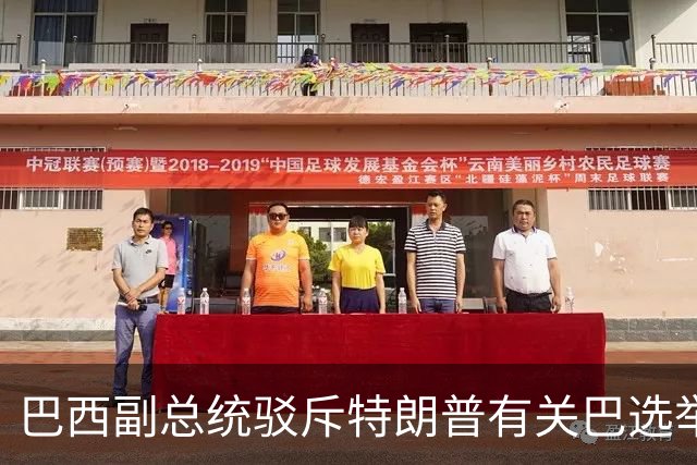 巴西副总统驳斥特朗普有关巴选举“被操纵”言论