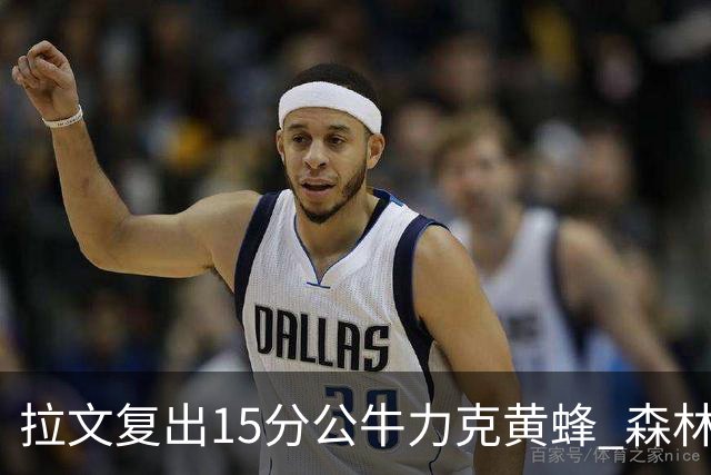 拉文复出15分公牛力克黄蜂 森林狼大胜火箭