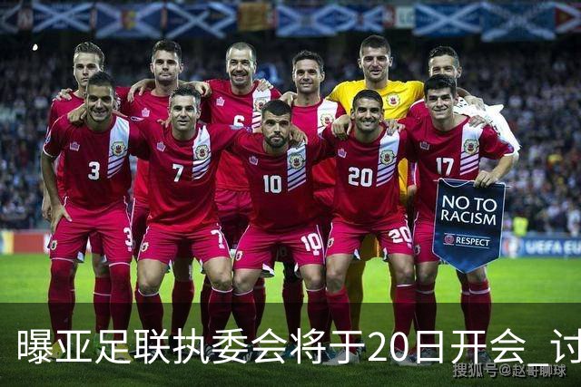 曝亚足联执委会将于20日开会 讨论亚洲杯延期事宜