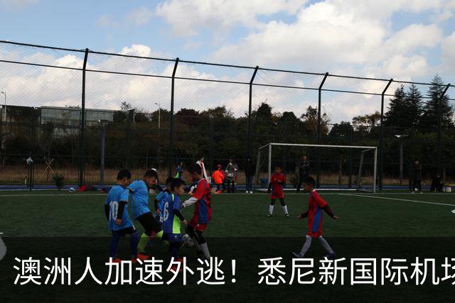 澳洲人加速外逃！悉尼新国际机场正式启用，悉尼房价要涨？！澳洲生育率暴跌，创历史新低！