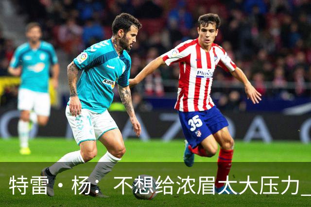 特雷·杨：不想给浓眉太大压力 但我想帮他冲击MVP