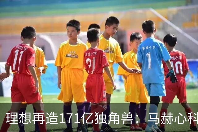 理想再造171亿独角兽：马赫心科技首轮融资16.25亿，车企芯片开始“外卖”