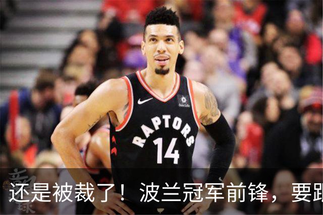 还是被裁了！波兰冠军前锋，要跟杨瀚森说再见！